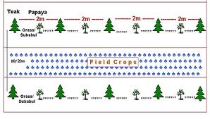 Soil-Conservation005