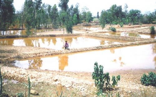 Soil-Conservation007